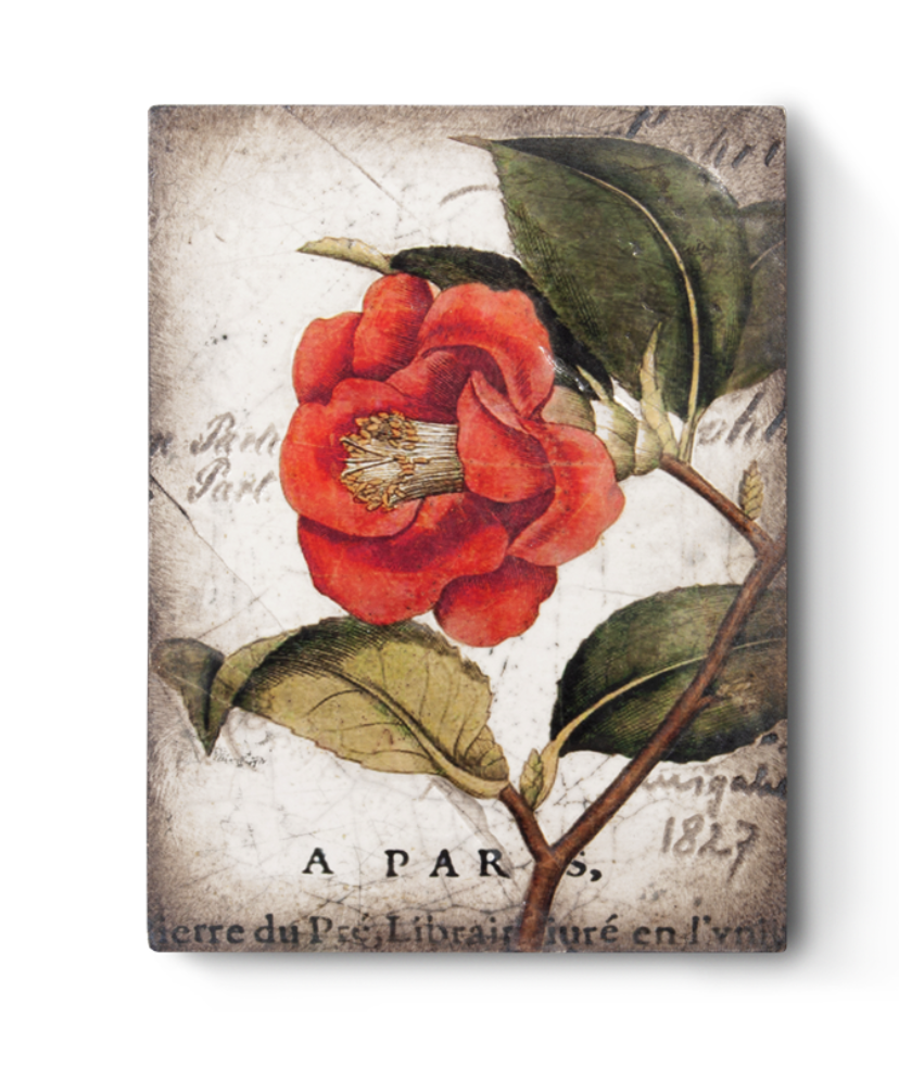 Sid Dickens Memory Blocks T-404 Red Camellia 2017 – SPRING: INSPIRATION COLLECTION